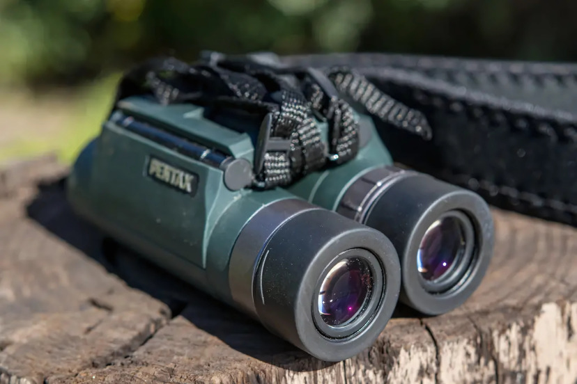 Best Binoculars for Clear and Sharp Vision